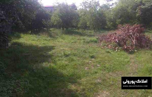 خرید زمین هکتاری شمال