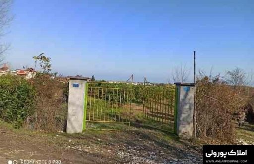 خرید زمین ارزان در شمال