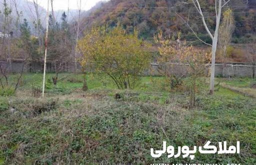 زمین شهرکی 700 متری بندپی نوشهر