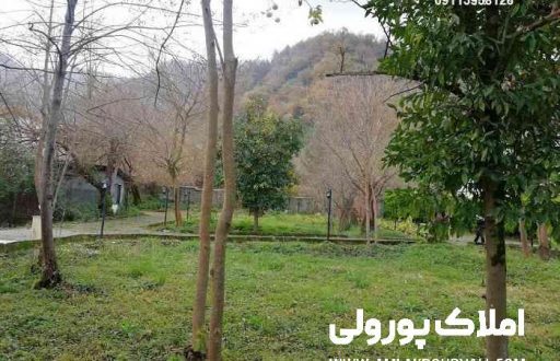 زمین شهرکی نوشهر بندپی